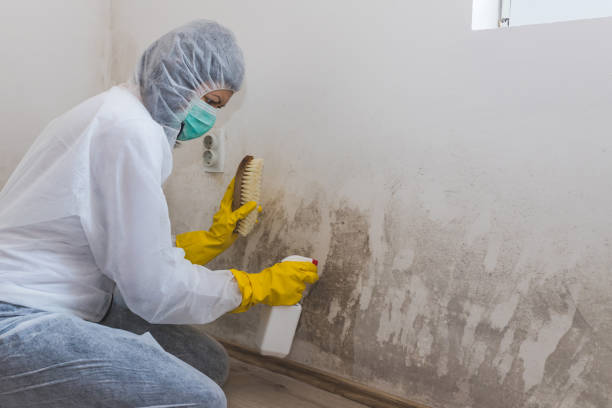 Best Asbestos and Lead Testing During Mold Inspection  in Martinez, GA